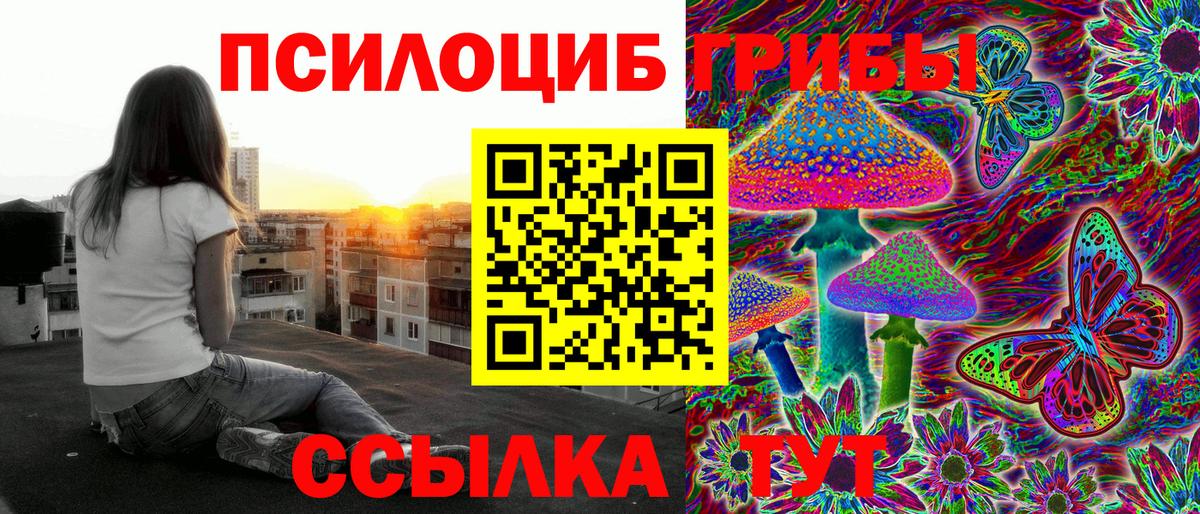 Омск  Галлюциногенные грибы GOLDEN TEACHER  Вход с VPN 
